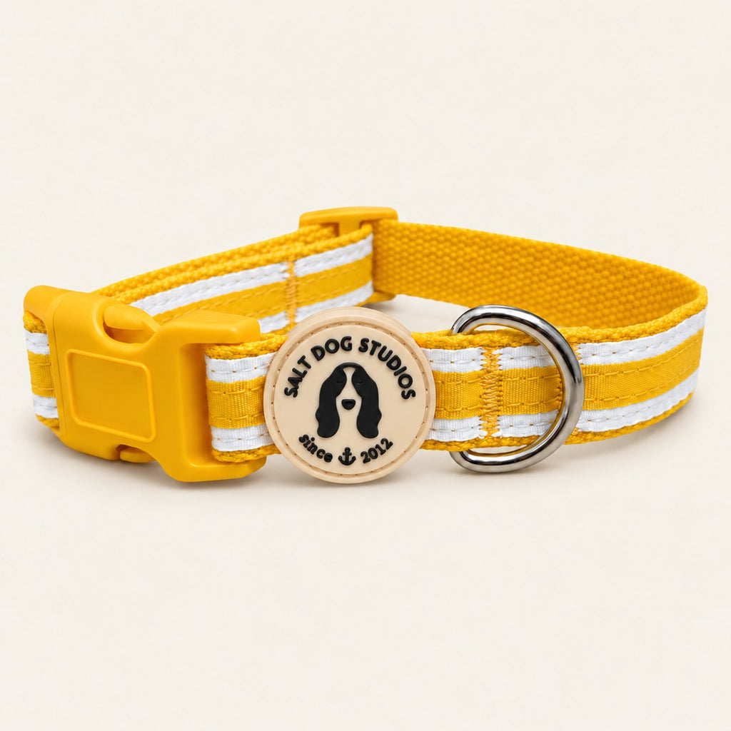 Salt Dog Studios striped sunflower yellow hemp dog collar with white ribbon stripes, matching buckle and metal D-ring on a pale beige background.