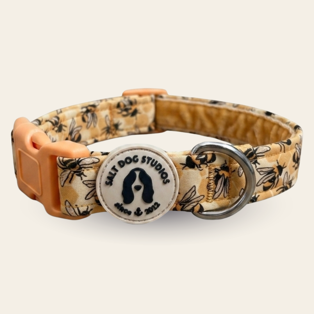 Honey Bee Hive Walking Set — Collar, Lead & Harness