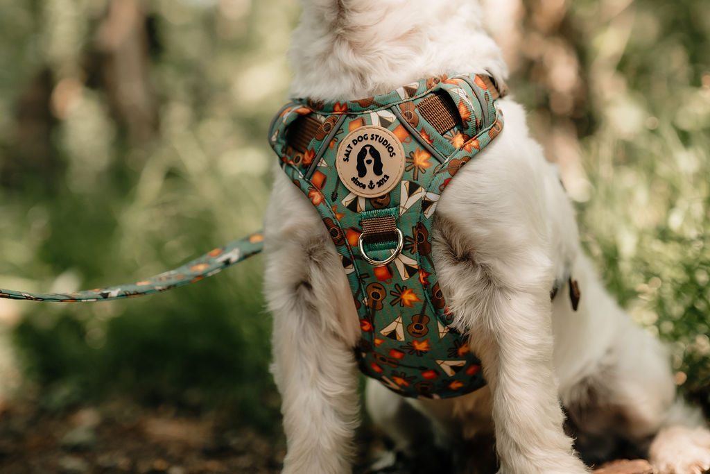 Close-up of the Mountain Camp Out harness on a white terrier, showing the teal camping print, chest panel and front D-ring.