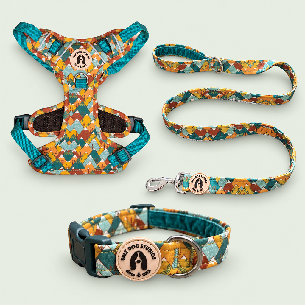 Mountain Range Walking Set – Collar, Lead & Harness