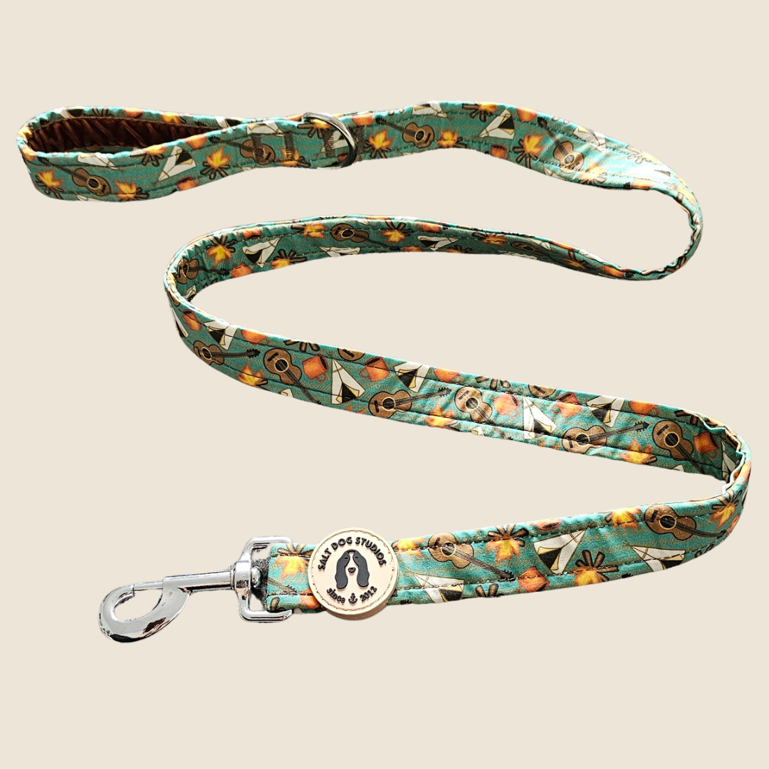 Mountain Camp Out dog lead with teal and brown camping print and metal clip