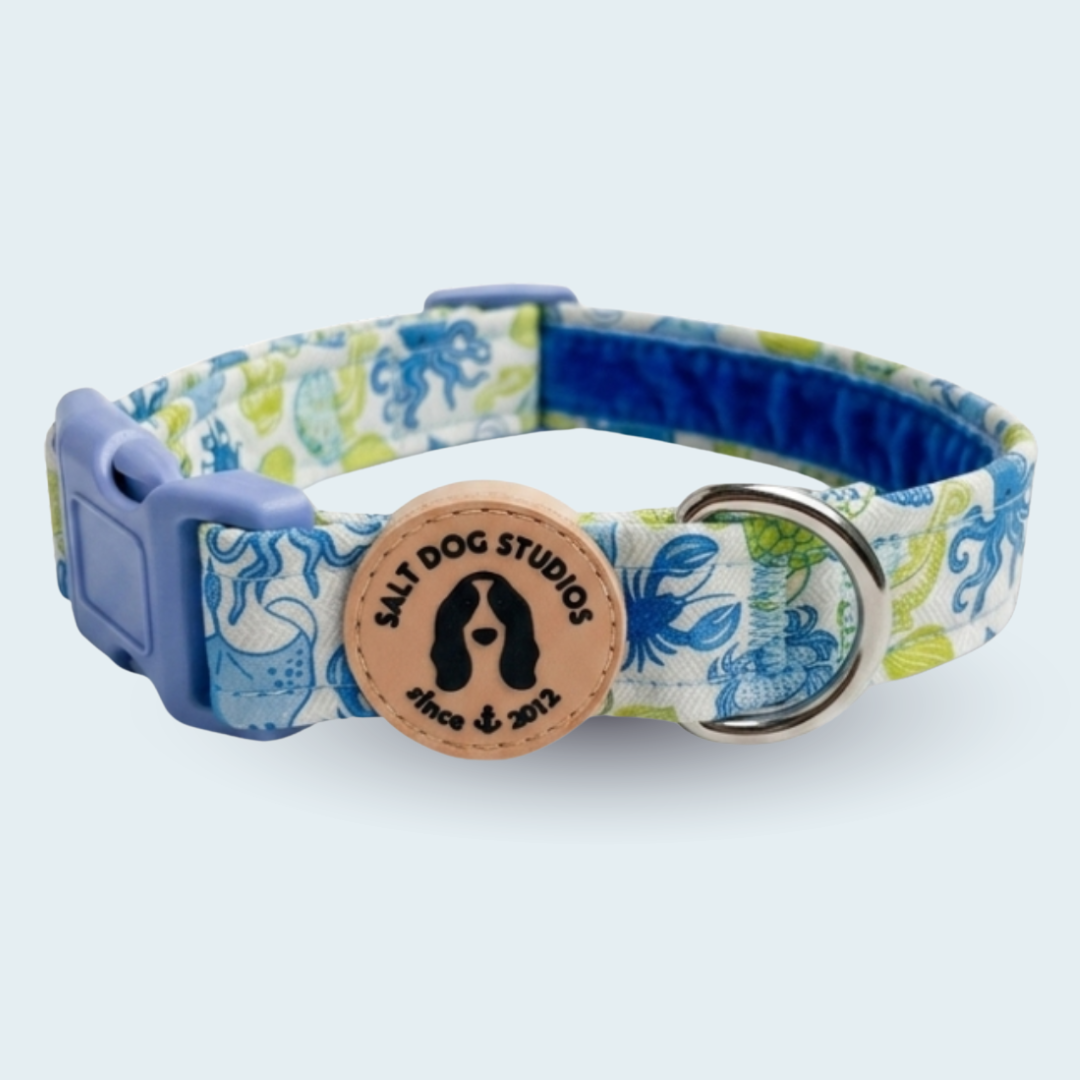 Ocean Life Dog Collar; one of each supplied