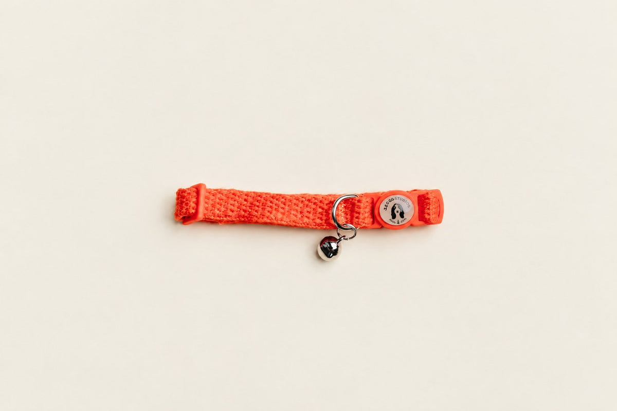 Salt Dog Studios clementine orange hemp cat collar with matching breakaway buckle, logo and silver bell on a pale beige background.