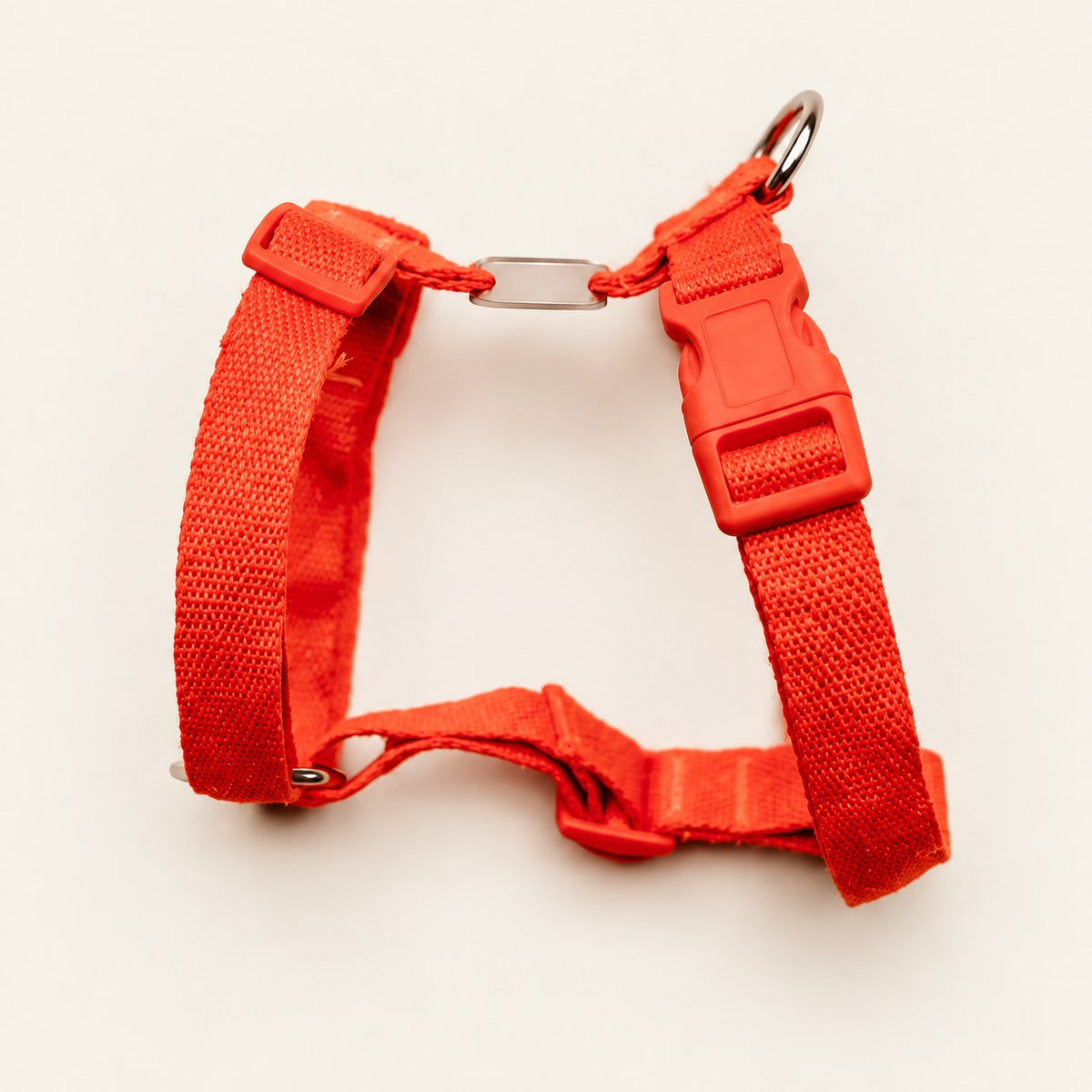 Salt Dog Studios plain clementine orange hemp dog harness with adjustable straps and matching buckle on a pale beige background.