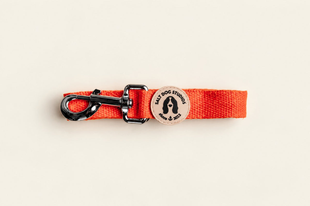 Salt Dog Studios plain clementine orange hemp dog lead folded with metal clip and logo badge on a pale beige background.