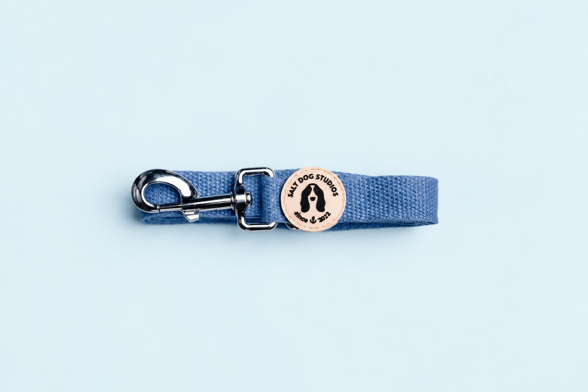 Salt Dog Studios plain cornflower blue hemp dog lead folded with metal clip and logo badge on a pale blue background.