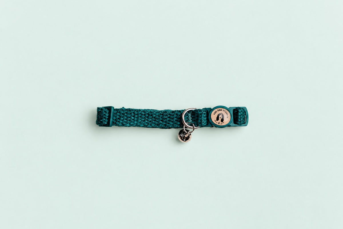 Salt Dog Studios dark teal hemp cat collar with matching breakaway buckle, logo and silver bell on a pale mint green background.