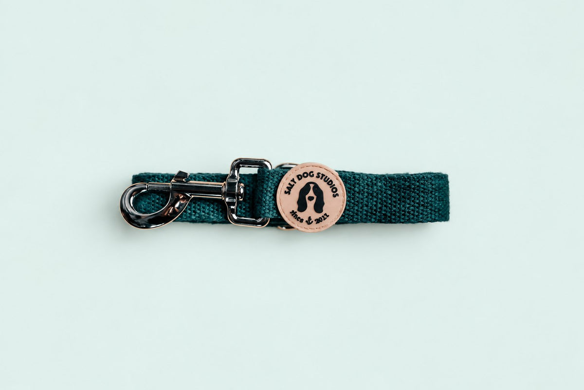 Salt Dog Studios plain dark teal hemp dog lead folded with metal clip and logo badge on a pale mint green background.