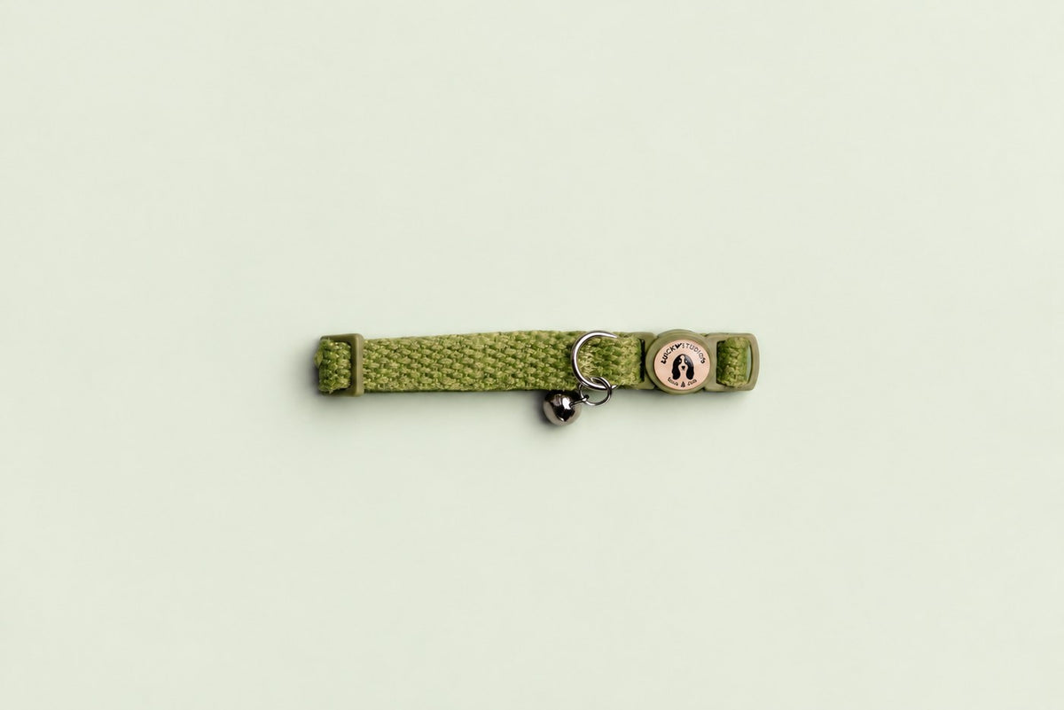 Salt Dog Studios grass green hemp cat collar with matching breakaway buckle, logo and silver bell on a pale sage green background.