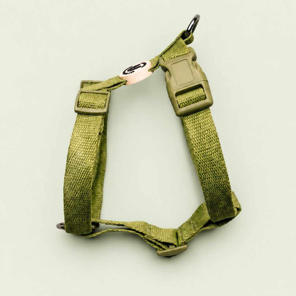 Salt Dog Studios plain grass green hemp dog harness with adjustable straps and matching buckle on a pale sage green background.