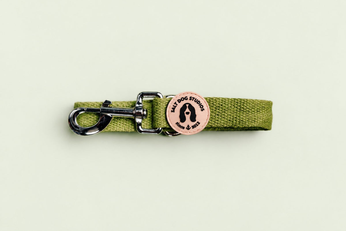 Salt Dog Studios plain grass green hemp dog lead folded with metal clip and logo badge on a pale sage green background.