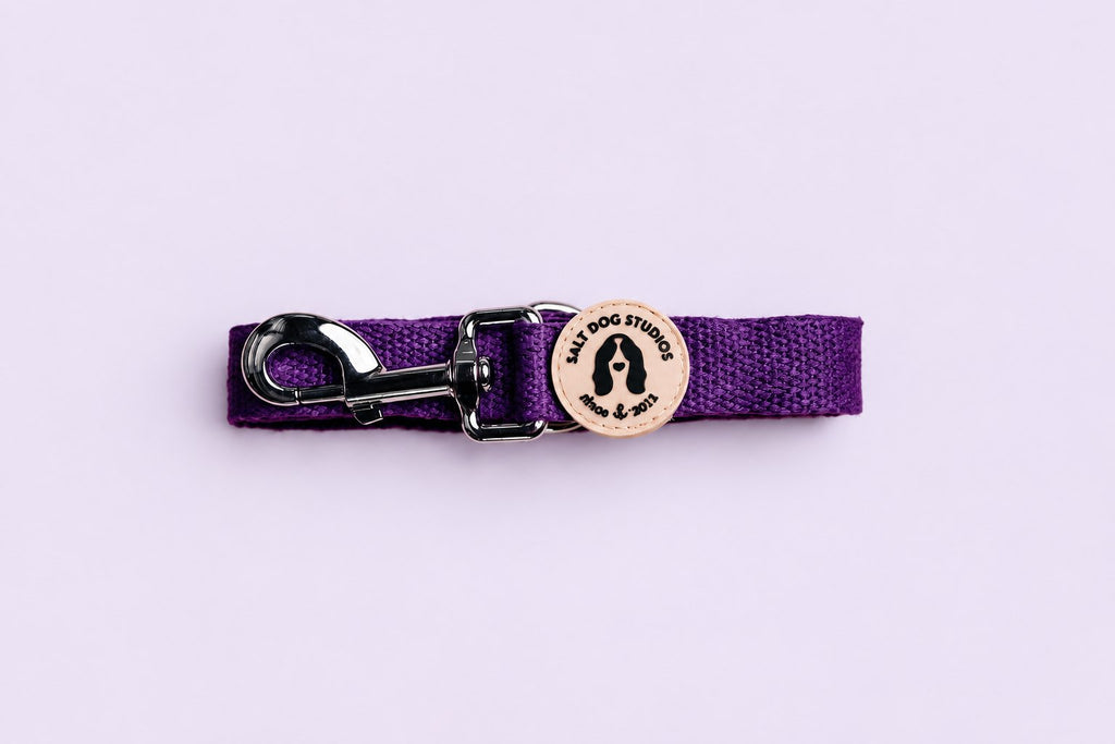 Salt Dog Studios plain indigo purple hemp dog lead folded with metal clip and logo badge on a pale lavender background.