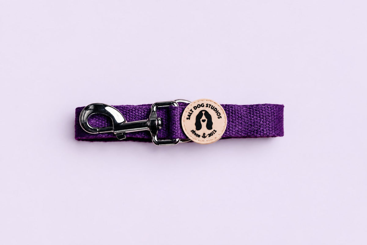 Salt Dog Studios plain indigo purple hemp dog lead folded with metal clip and logo badge on a pale lavender background.