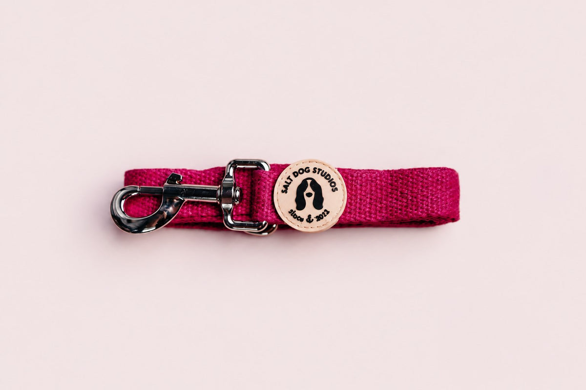 Salt Dog Studios plain magenta pink hemp dog lead folded with metal clip and logo badge on a rose blush background.