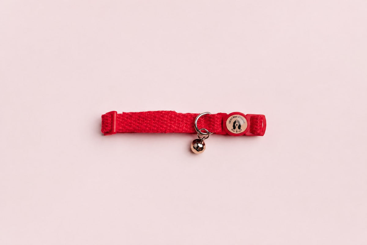 Salt Dog Studios scarlet red hemp cat collar with matching breakaway buckle, logo and silver bell on a rose blush background.
