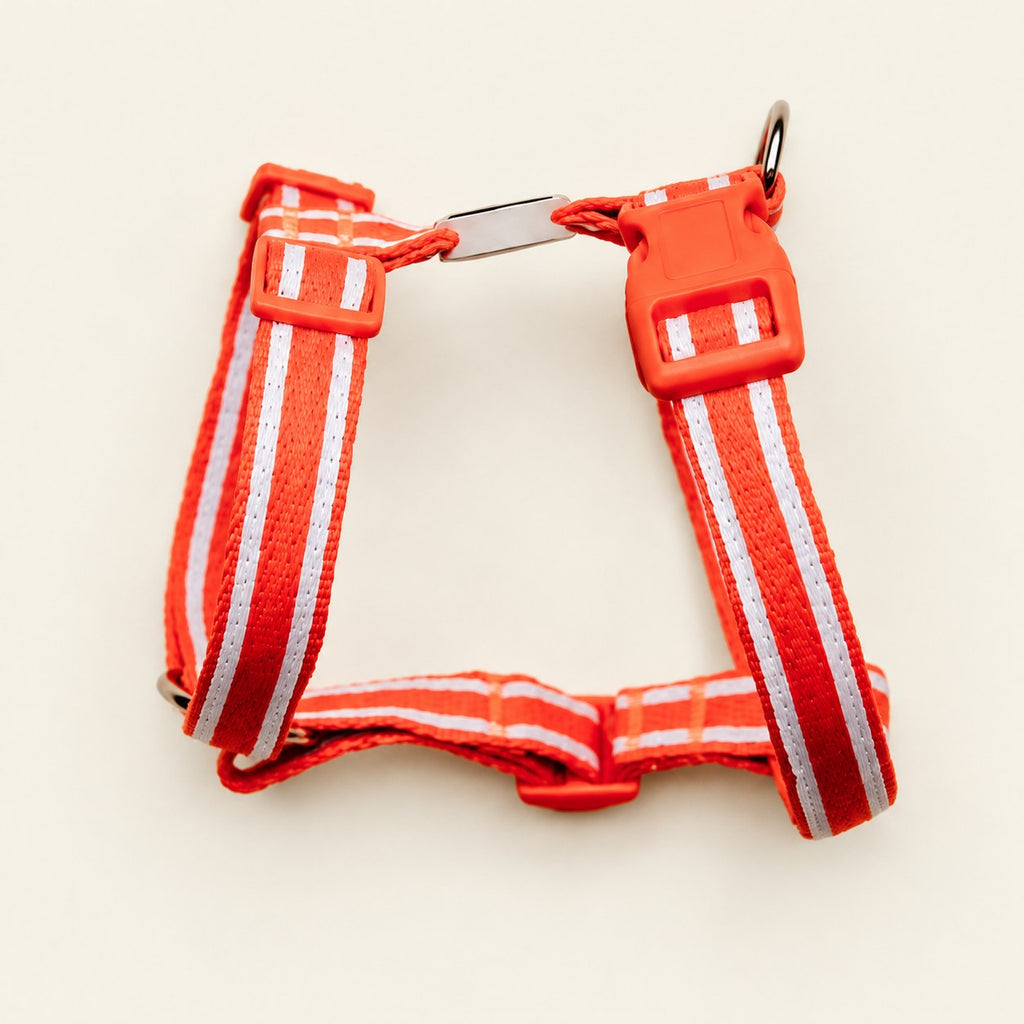 Salt Dog Studios striped clementine orange hemp dog harness with adjustable straps and matching buckle, with white ribbon stripes on a pale beige background.