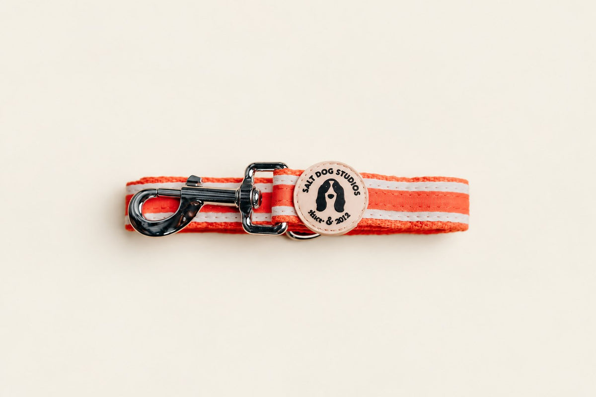 Salt Dog Studios striped clementine orange hemp dog lead folded with metal clip and logo badge, with white ribbon stripes on a pale beige background.