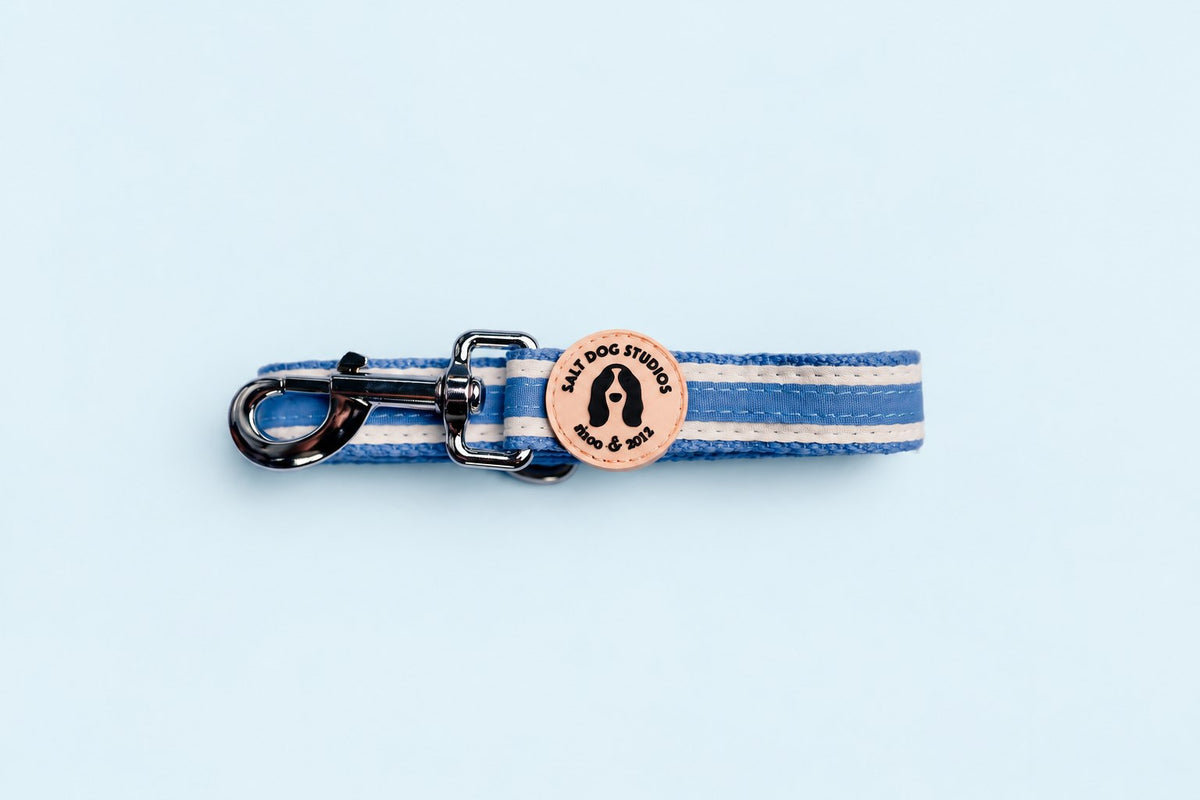 Salt Dog Studios striped cornflower blue hemp dog lead folded with metal clip and logo badge, with white ribbon stripes on a pale blue background.