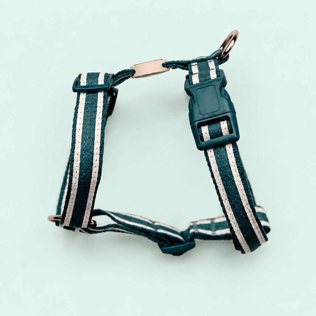 Salt Dog Studios striped dark teal hemp dog harness with adjustable straps and matching buckle, with white ribbon stripes on a pale mint green background.