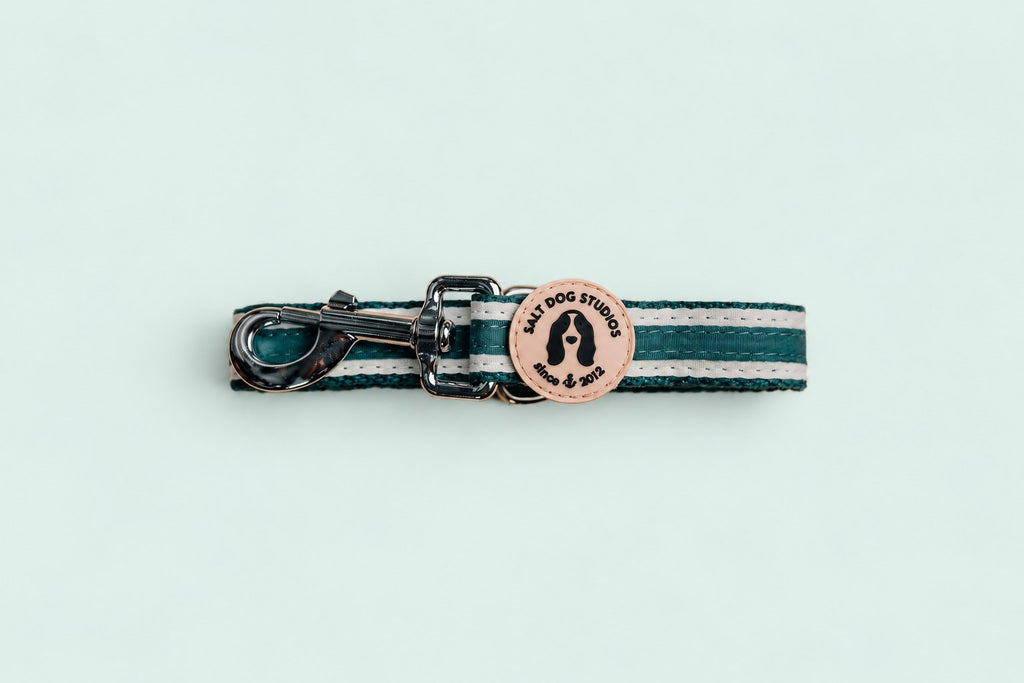Salt Dog Studios striped dark teal hemp dog lead folded with metal clip and logo badge, with white ribbon stripes on a pale mint green background.