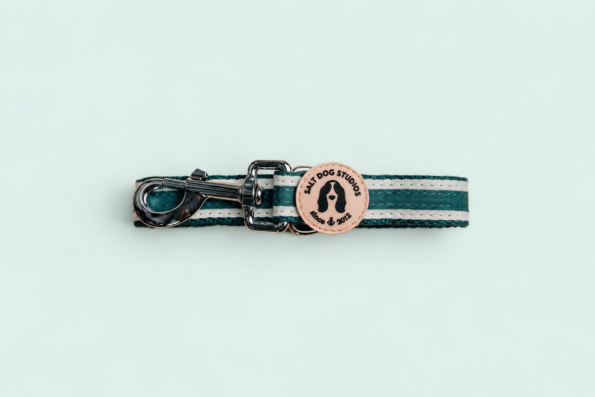 Salt Dog Studios striped dark teal hemp dog lead folded with metal clip and logo badge, with white ribbon stripes on a pale mint green background.