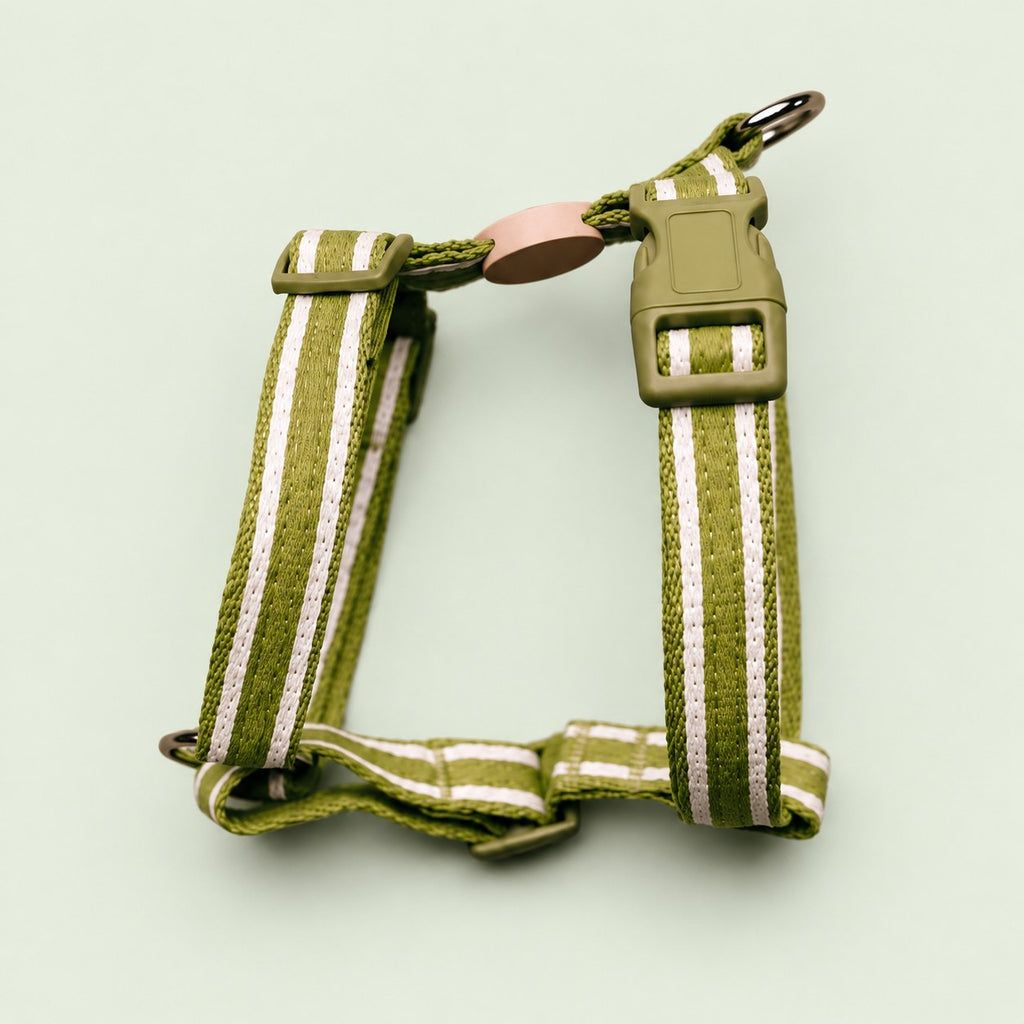 Salt Dog Studios striped grass green hemp dog harness with adjustable straps and matching buckle, with white ribbon stripes on a pale sage green background.
