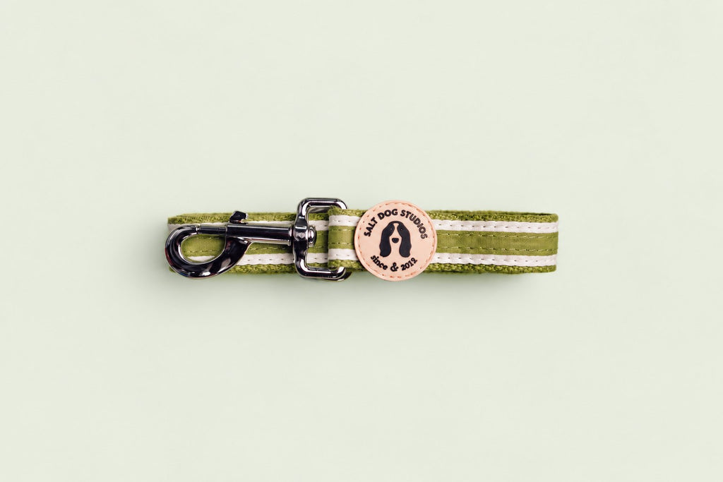 Salt Dog Studios striped grass green hemp dog lead folded with metal clip and logo badge, with white ribbon stripes on a pale sage green background.
