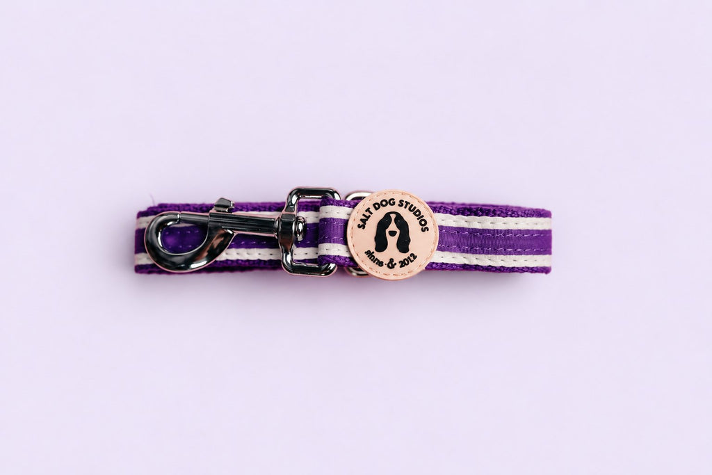 Salt Dog Studios striped indigo purple hemp dog lead folded with metal clip and logo badge, with white ribbon stripes on a pale lavender background.