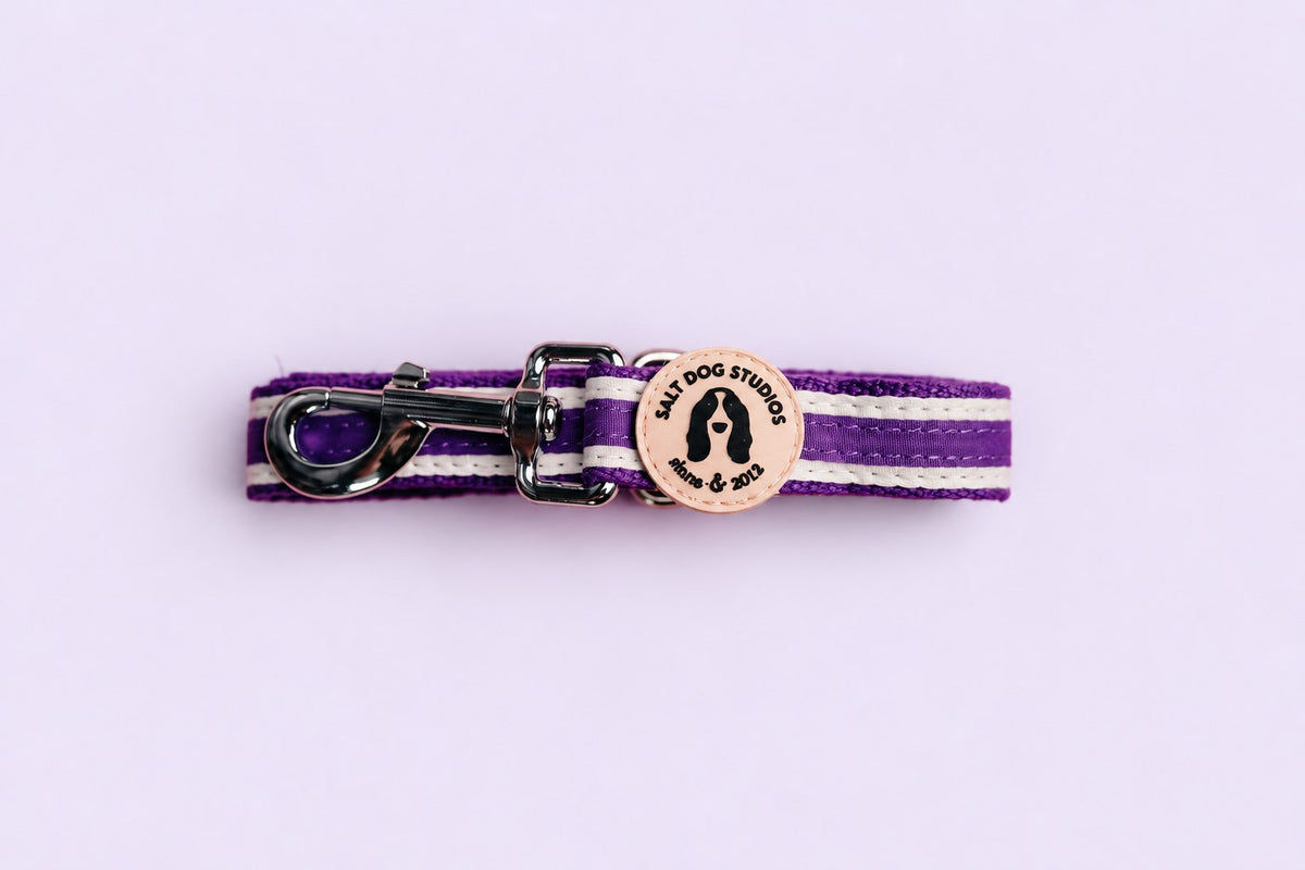 Salt Dog Studios striped indigo purple hemp dog lead folded with metal clip and logo badge, with white ribbon stripes on a pale lavender background.