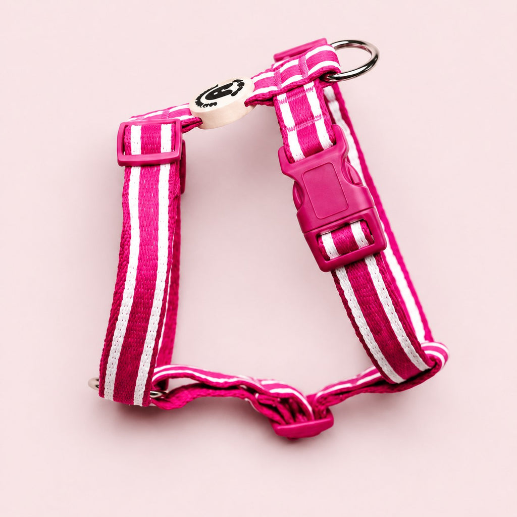 Salt Dog Studios striped magenta pink hemp dog harness with adjustable straps and matching buckle, with white ribbon stripes on a rose blush background.