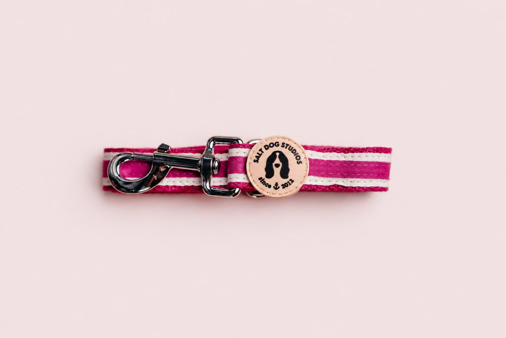 Salt Dog Studios striped magenta pink hemp dog lead folded with metal clip and logo badge, with white ribbon stripes on a rose blush background.