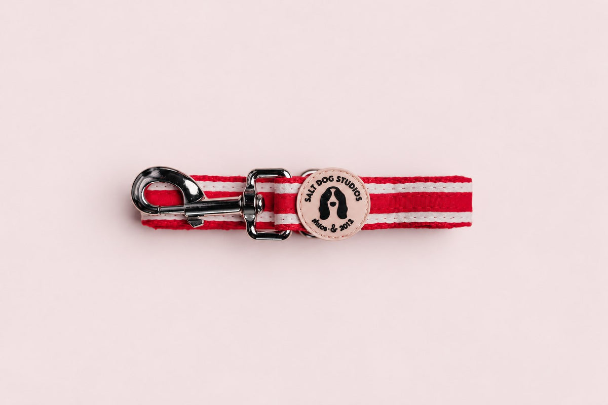 Salt Dog Studios striped scarlet red hemp dog lead folded with metal clip and logo badge, with white ribbon stripes on a rose blush background.