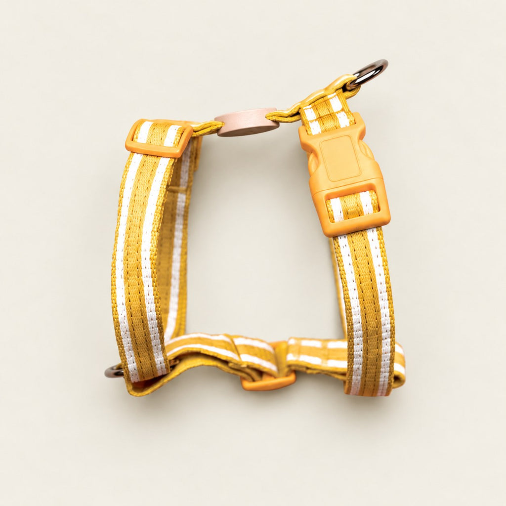 Salt Dog Studios striped sunflower yellow hemp dog harness with adjustable straps and matching buckle, with white ribbon stripes on a pale beige background.