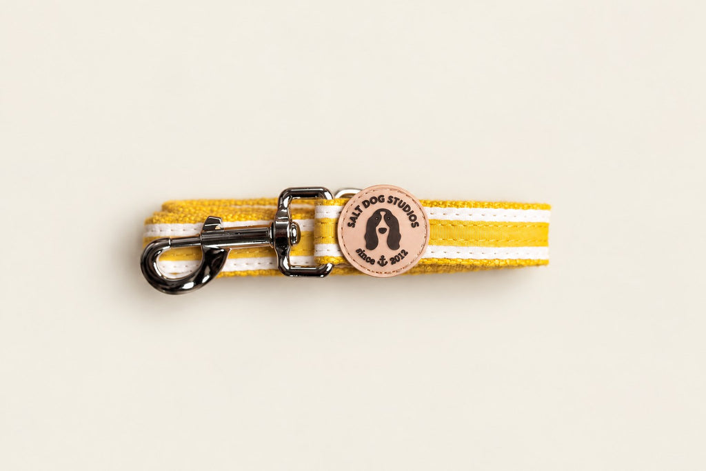 Salt Dog Studios striped sunflower yellow hemp dog lead folded with metal clip and logo badge, with white ribbon stripes on a pale beige background.