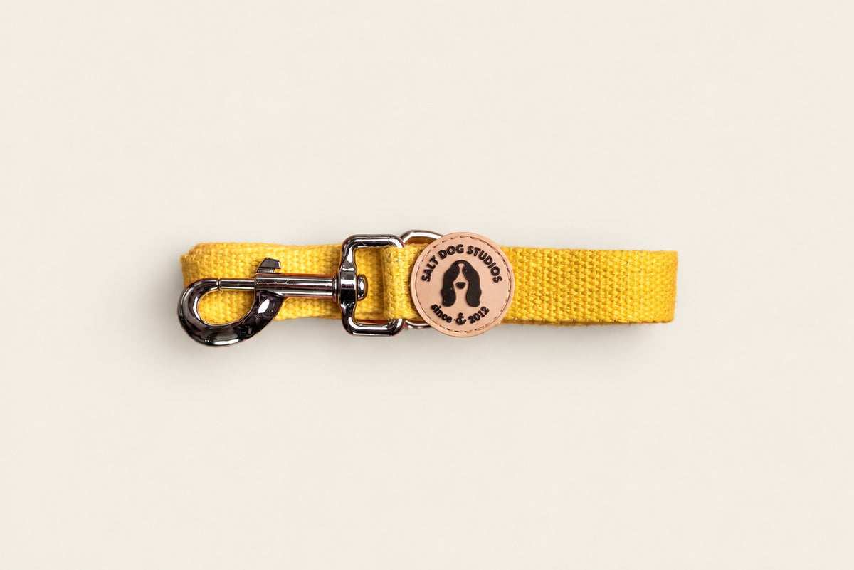 Salt Dog Studios plain sunflower yellow hemp dog lead folded with metal clip and logo badge on a pale beige background.