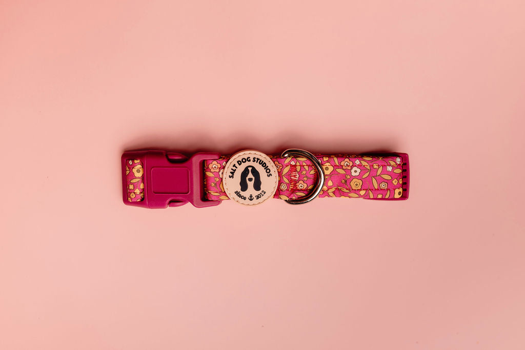 pink ditsy floral dog collar
