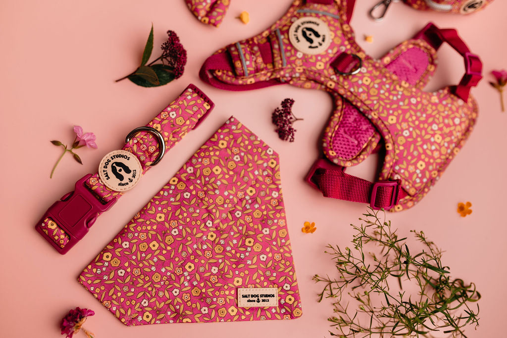 pink ditsy floral dog collar with accessories