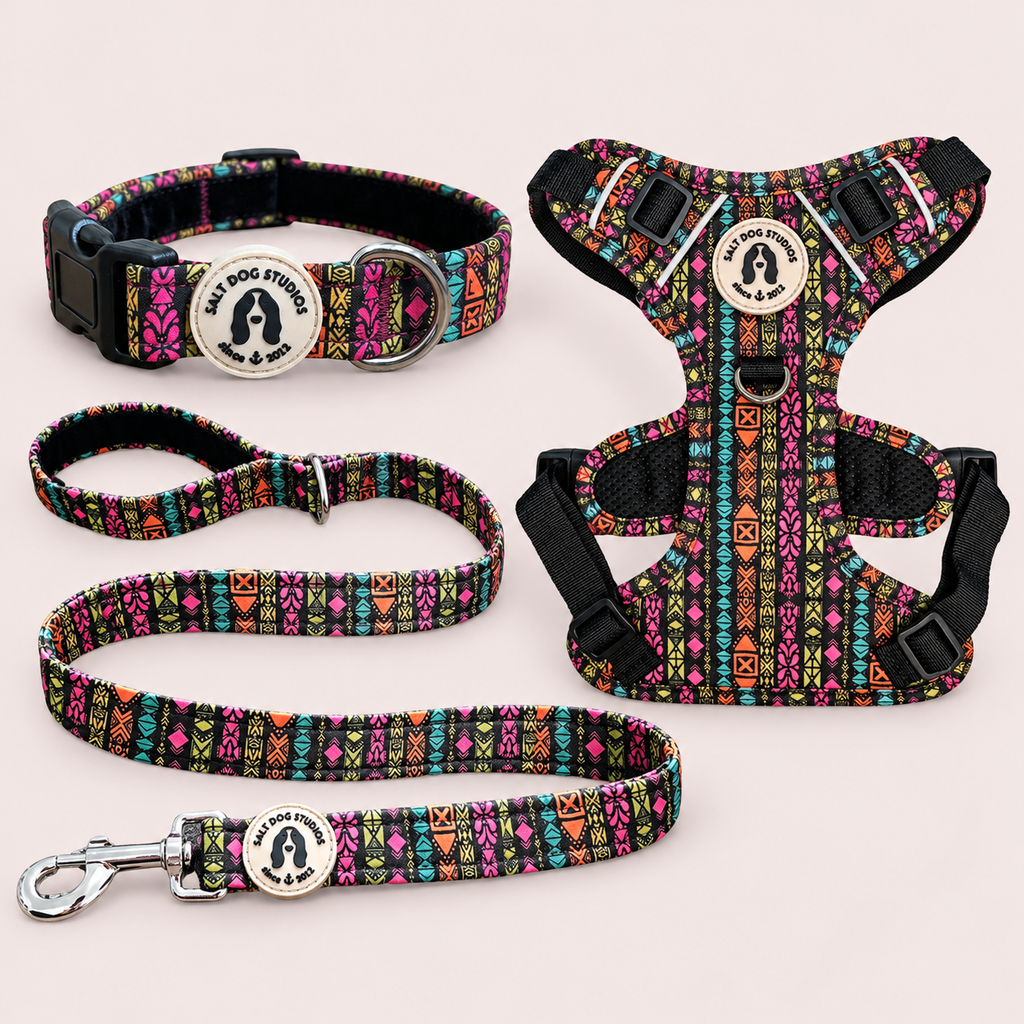 Retro Tribal Walking Set — Collar, Lead & Harness