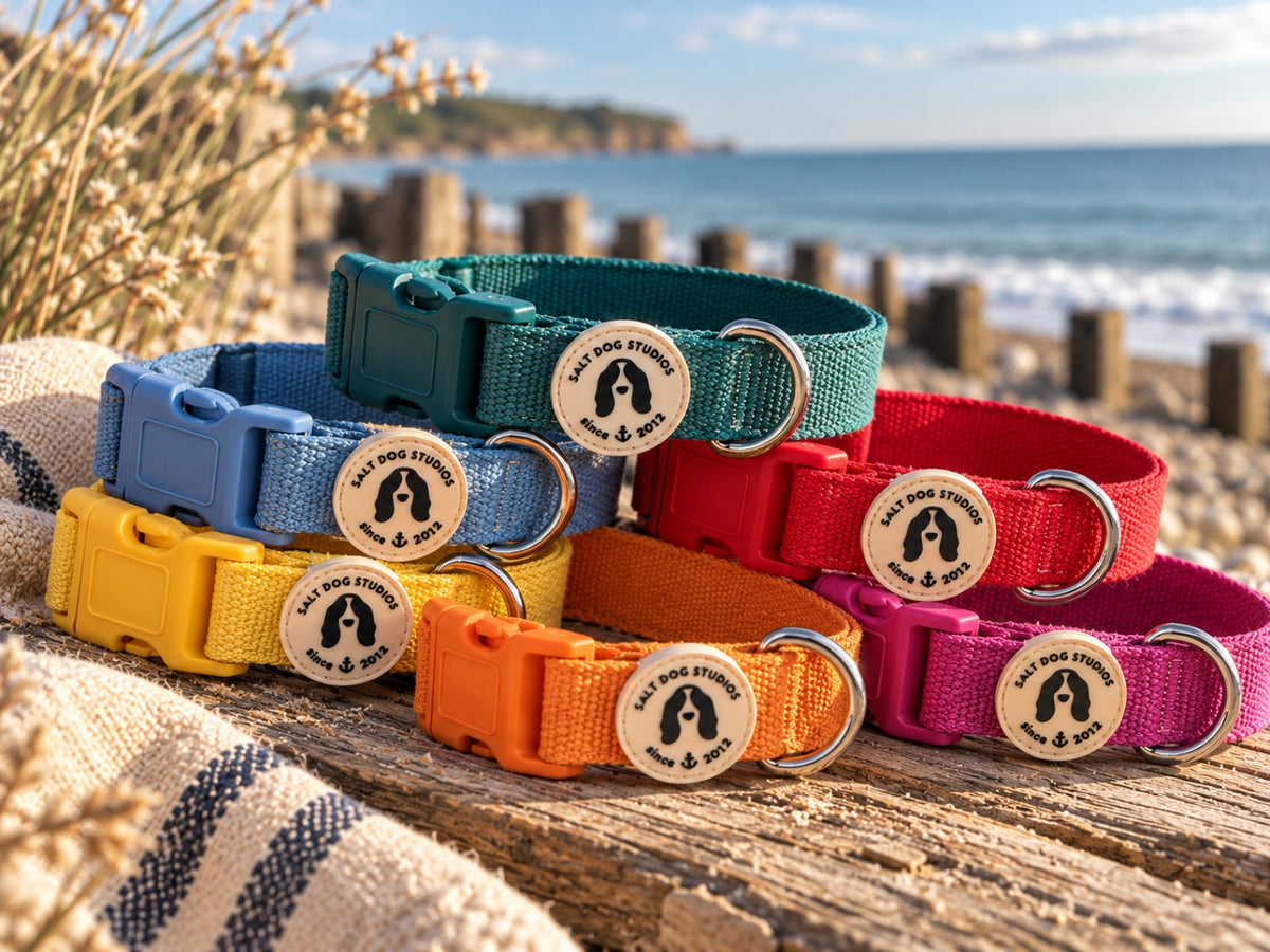 Colourful Salt Dog Studios hemp dog collars displayed by the sea.