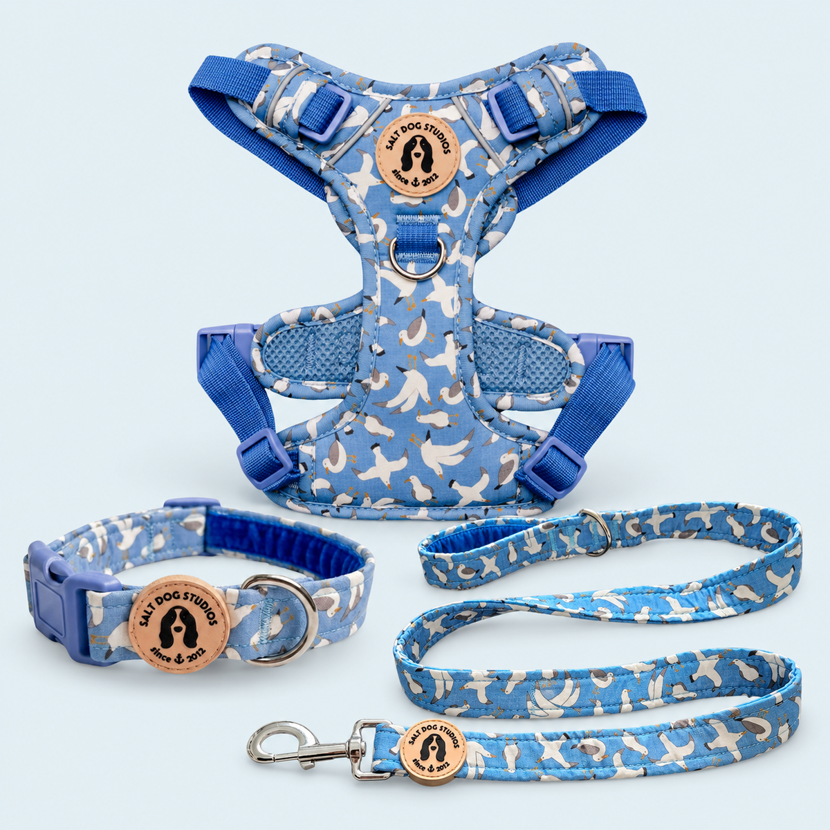 Seagulls Walking Set – Collar, Lead & Harness