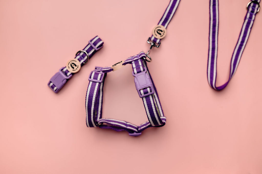 striped indigo purple hemp dog collar with accessories