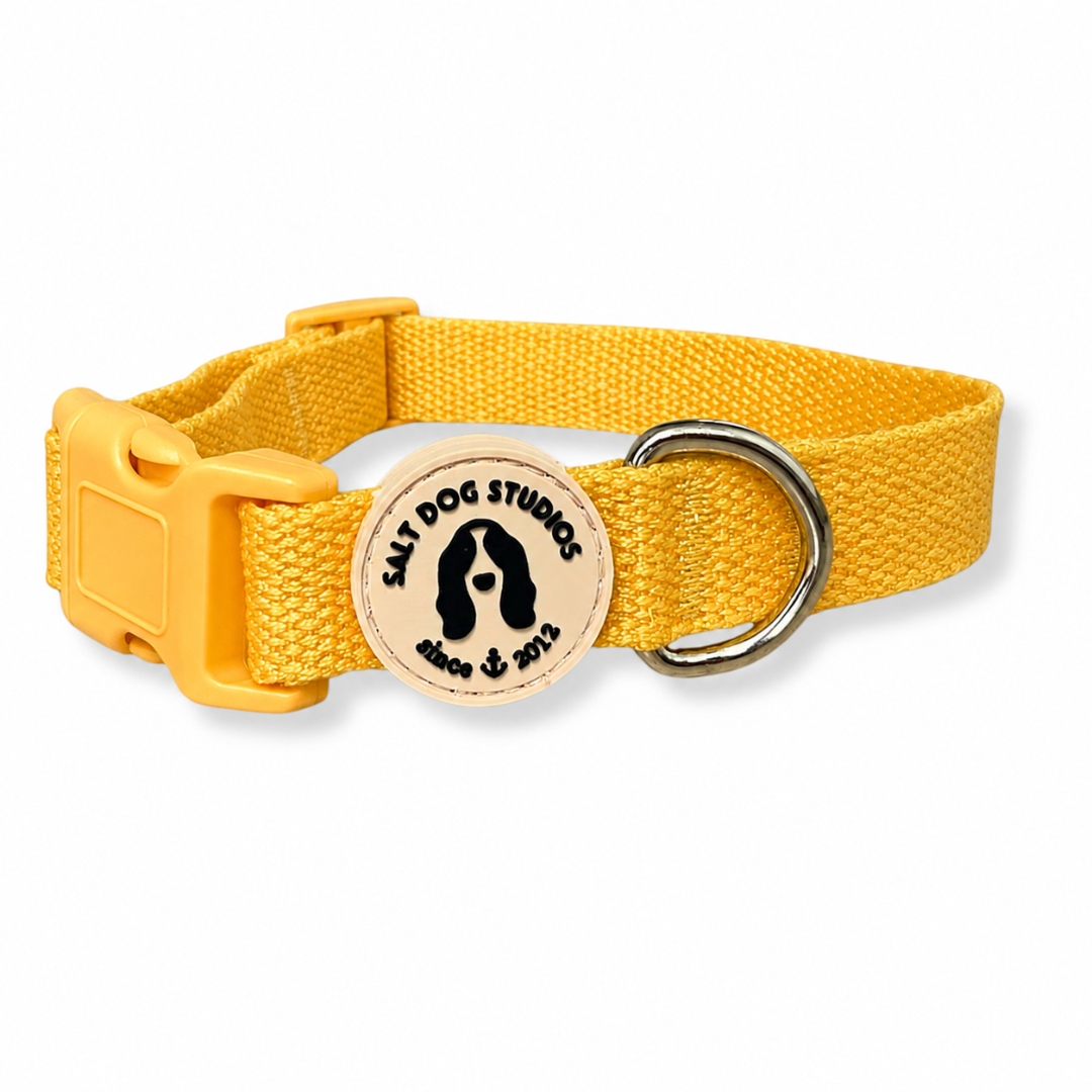 Organic Sunflower Yellow Hemp Dog Collar
