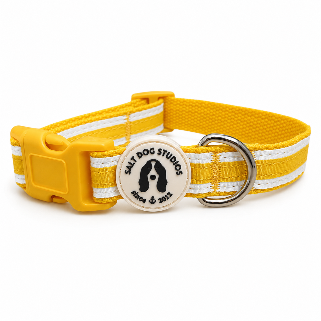 Organic Striped Sunflower Yellow Hemp Dog Collar