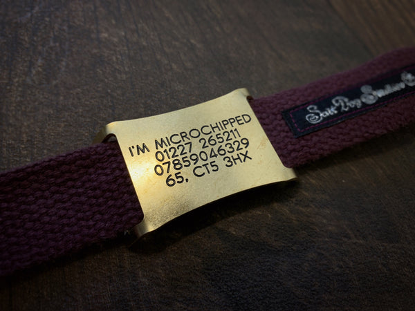 Brass Easy Fit Agility Tag, Collars Up To 25mm