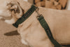 'The Original UK' Forest Green Hemp Dog Collar ©